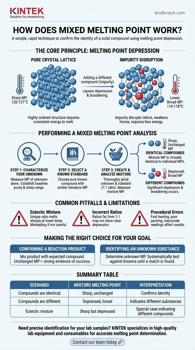 混合熔点法如何工作？通过熔点降低确认化合物身份 图解指南