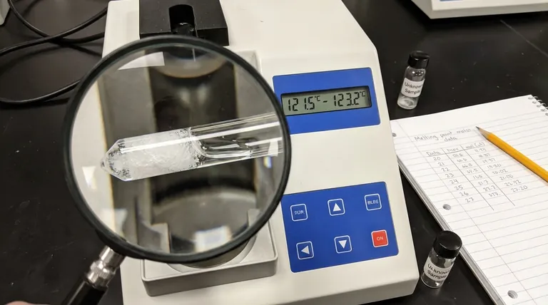 Quali dati vengono raccolti per una misurazione del punto di fusione? Una guida per un'analisi accurata di identità e purezza