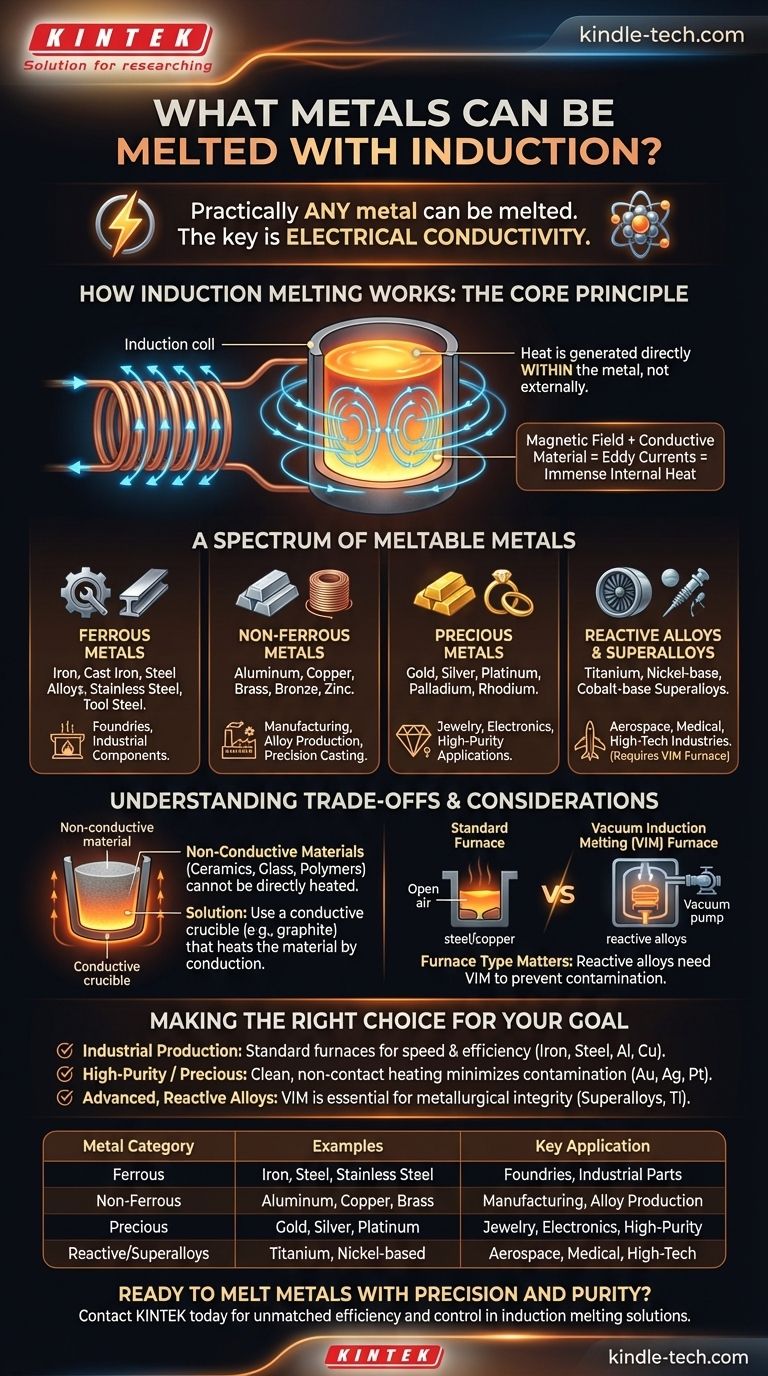 哪些金属可以用感应熔化？从钢铁到黄金，探索其多功能性 图解指南