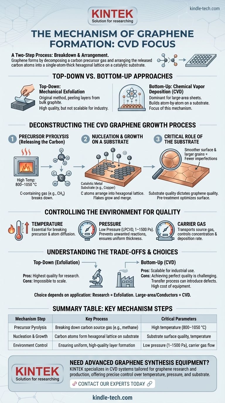 ما هي آلية تشكل الجرافين؟ تفصيل خطوة بخطوة لنمو الترسيب الكيميائي للبخار (CVD) دليل مرئي