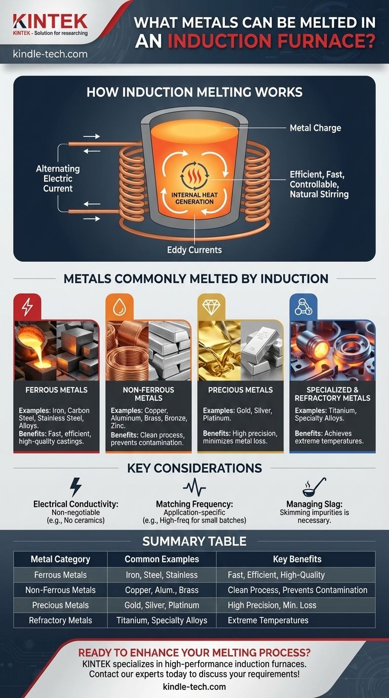 유도 용해로에서 녹일 수 있는 금속은 무엇인가요? 거의 모든 금속을 녹일 수 있는 힘을 잠금 해제하세요 시각적 가이드