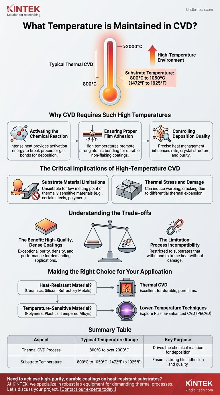 Quelle température est maintenue en CVD ? Déverrouiller le processus à haute température pour des revêtements supérieurs Guide Visuel
