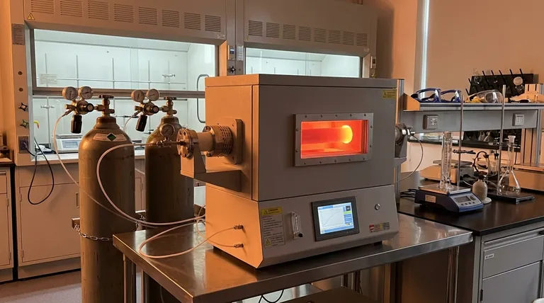 Come si preparano i nanotubi di carbonio usando la CVD? Una guida passo-passo alla sintesi controllata