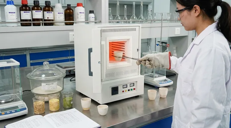 您如何确定食品样品的灰分含量?选择正确的方法以进行准确的矿物质分析