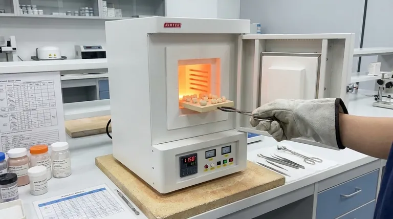 ポーセレン炉の温度は何度ですか?完璧な結果のための焼結をマスターする