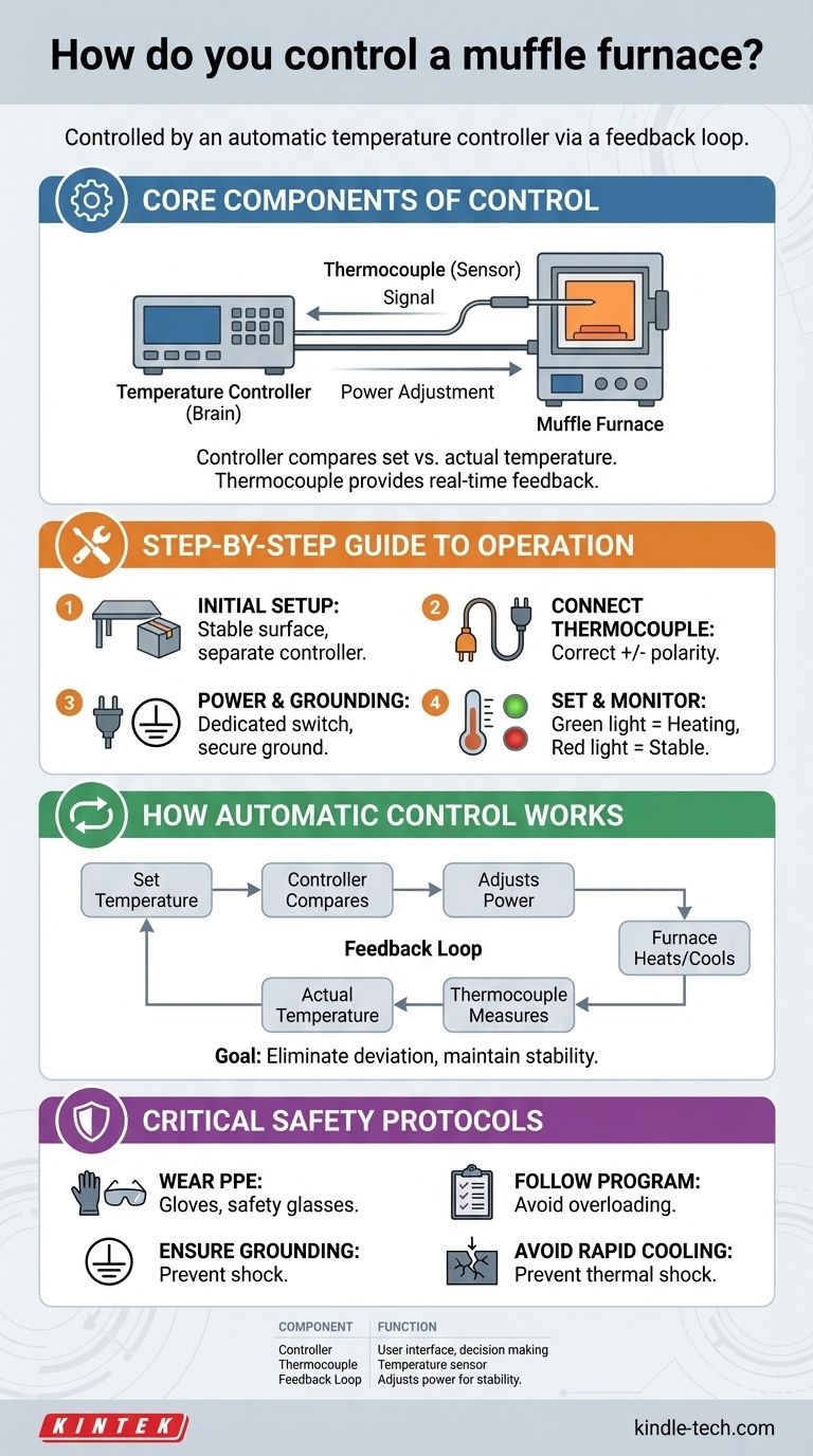 Come si controlla un forno a muffola? Padroneggia il controllo preciso della temperatura per il tuo laboratorio Guida Visiva