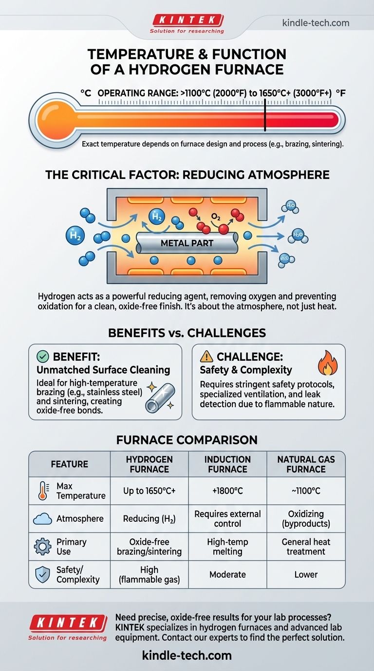 Qual è la temperatura di un forno a idrogeno? Svelare la lavorazione ad alta temperatura e senza ossidi Guida Visiva