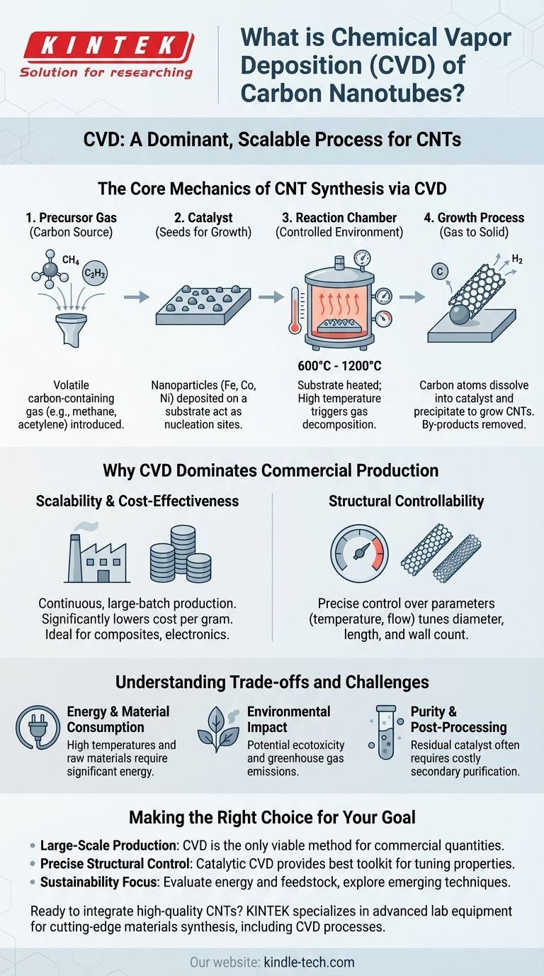 ما هو الترسيب الكيميائي للبخار لأنابيب الكربون النانوية؟ دليل لتصنيع الأنابيب النانوية القابلة للتطوير والتحكم دليل مرئي