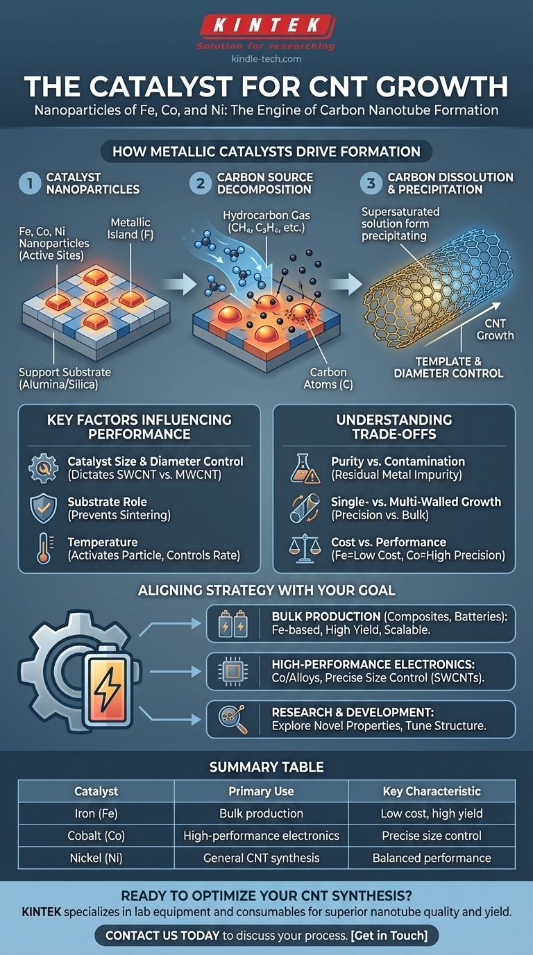 Qual è il catalizzatore per la crescita dei CNT? Sblocca la chiave per la sintesi di nanotubi di carbonio di alta qualità Guida Visiva