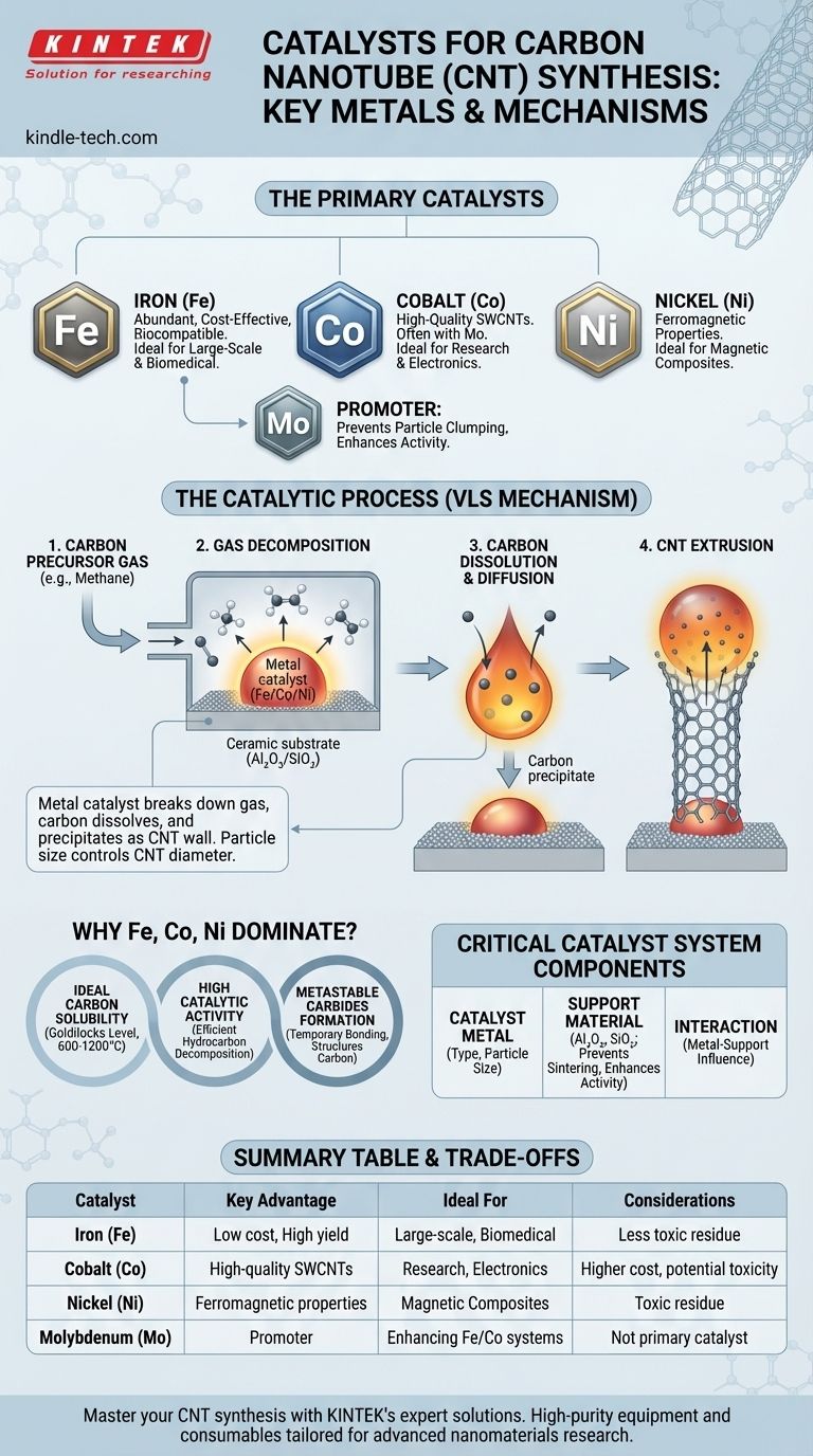 أي من المعادن التالية تستخدم كمحفزات لتخليق أنابيب الكربون النانوية (CNT)؟ اكتشف أفضل المحفزات لنمو أنابيب الكربون النانوية عالية الجودة دليل مرئي