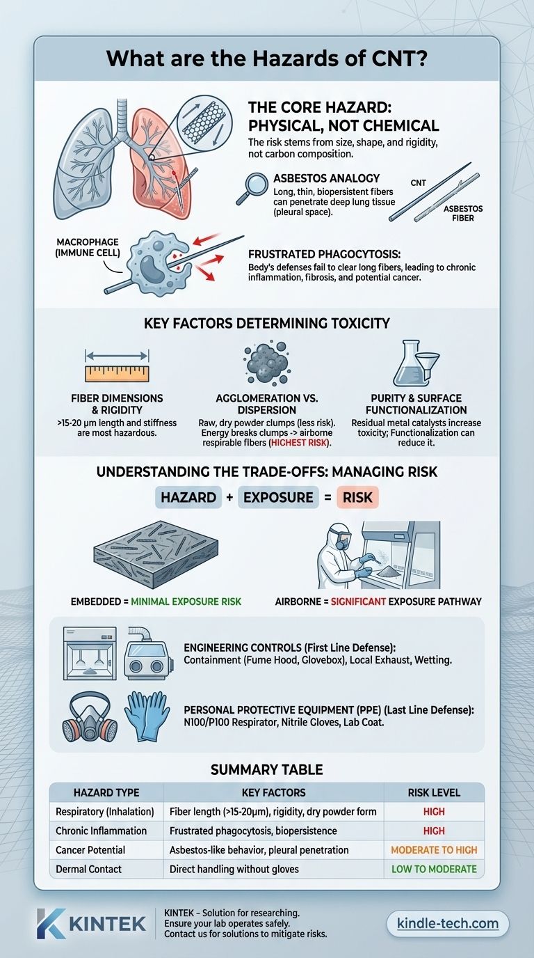 Was sind die Gefahren von CNTs? Verständnis der physikalischen Risiken von Kohlenstoffnanoröhren Visuelle Anleitung