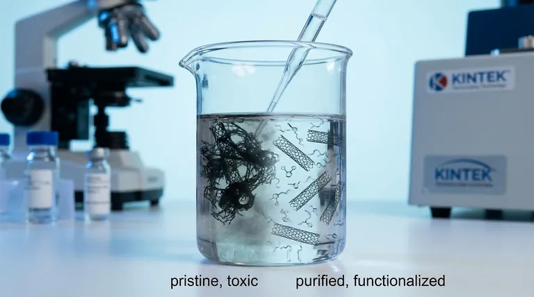 كيف يمكننا تقليل سمية أنابيب الكربون النانوية؟ استراتيجيات للتطبيقات الأكثر أمانًا