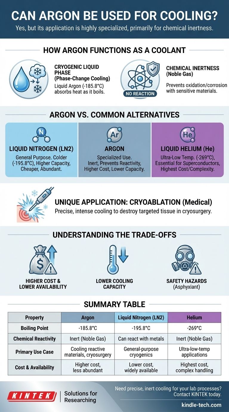 هل يمكن استخدام الأرجون للتبريد؟ نعم، للتطبيقات المتخصصة التي تتطلب خمولًا كيميائيًا. دليل مرئي