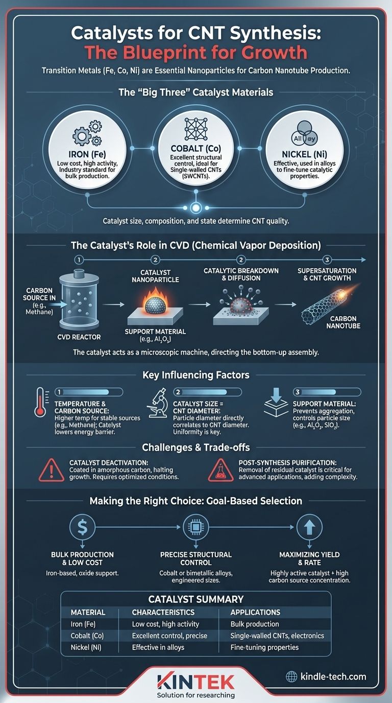 碳纳米管合成的催化剂是什么？控制碳纳米管生长的关键 图解指南