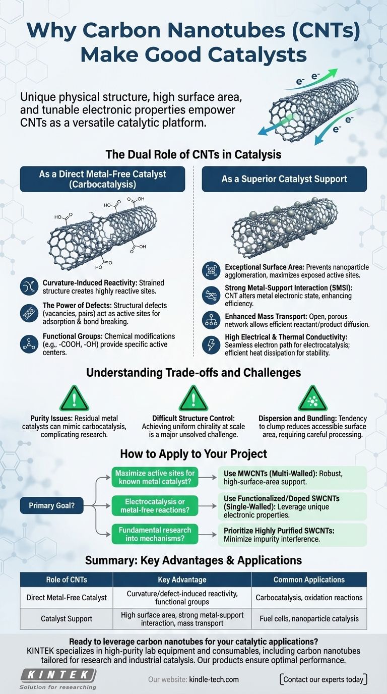 탄소 나노튜브가 우수한 촉매인 이유는 무엇일까요? 그 고유한 촉매 능력을 활용해 보세요. 시각적 가이드