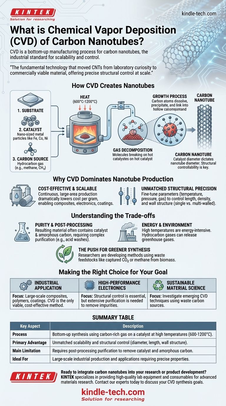 탄소 나노튜브의 화학 기상 증착이란 무엇인가요? 산업 생산을 위한 확장 가능한 방법 시각적 가이드