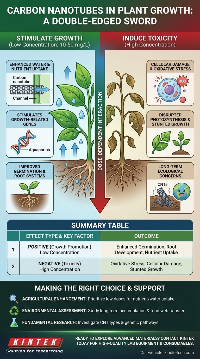 What is effect of carbon nanotubes in plant growth? A Double-Edged Sword for Agriculture Visual Guide