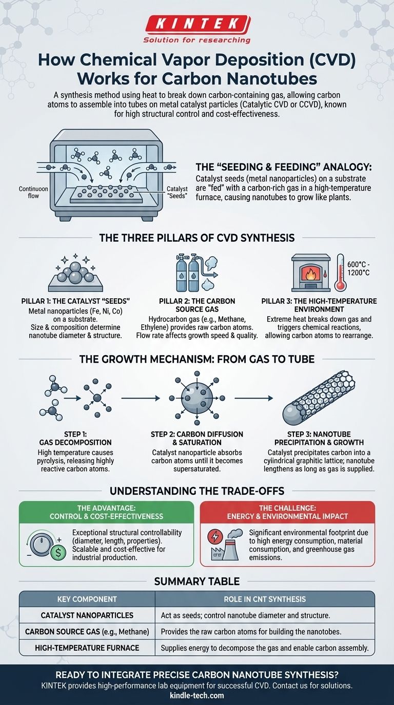Come funziona la deposizione chimica da vapore per i nanotubi di carbonio? Una guida alla sintesi controllata Guida Visiva