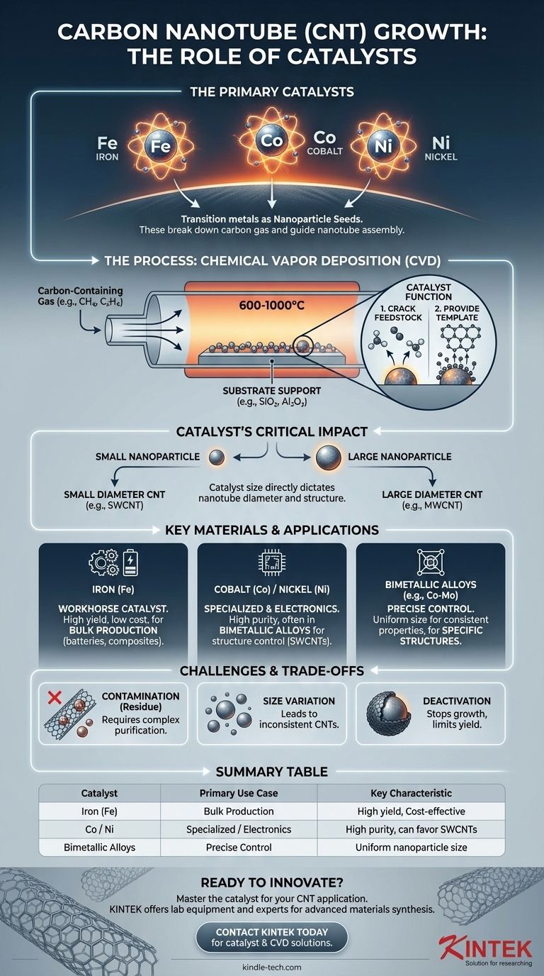 ما هي العوامل الحفازة لنمو أنابيب الكربون النانوية؟ المعادن الرئيسية للتخليق المتحكم به دليل مرئي