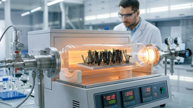 What are the catalysts for carbon nanotube growth? Key Metals for Controlled Synthesis