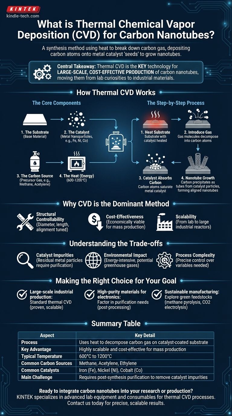 ¿Qué es el método de deposición química de vapor térmica para nanotubos de carbono? La clave para la producción escalable de nanotubos Guía Visual