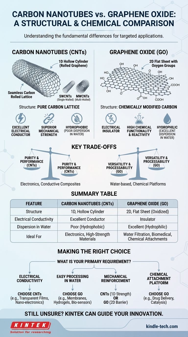 Was ist der Unterschied zwischen Kohlenstoffnanoröhren und Graphenoxid? Wählen Sie das richtige Nanomaterial für Ihre Anwendung Visuelle Anleitung