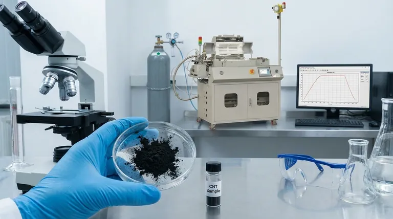 What are the challenges in the use of carbon nanotubes for biomedical applications? Navigating Toxicity and Safety Hurdles