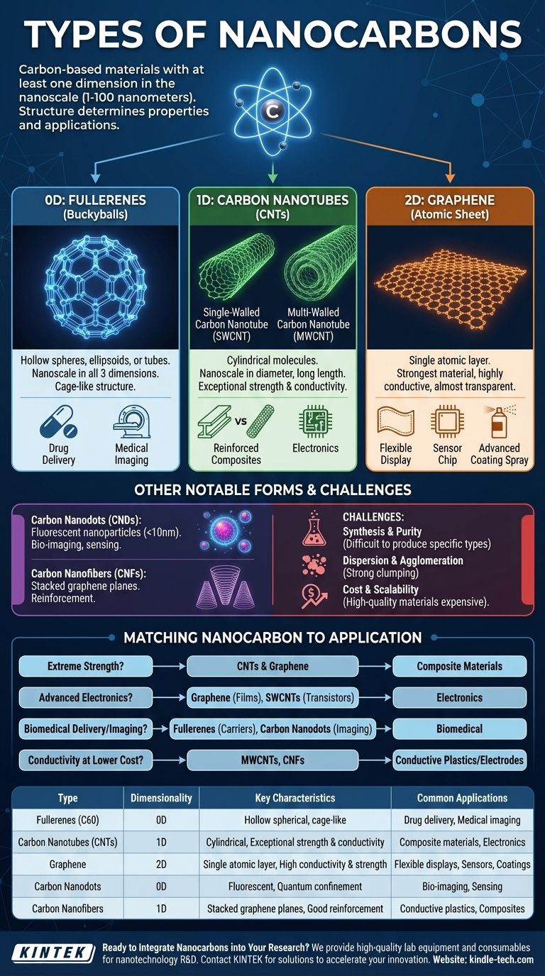 ما هي الأنواع المختلفة للكربون النانوي؟ دليل شامل للفلورينات والأنابيب الكربونية والجرافين دليل مرئي