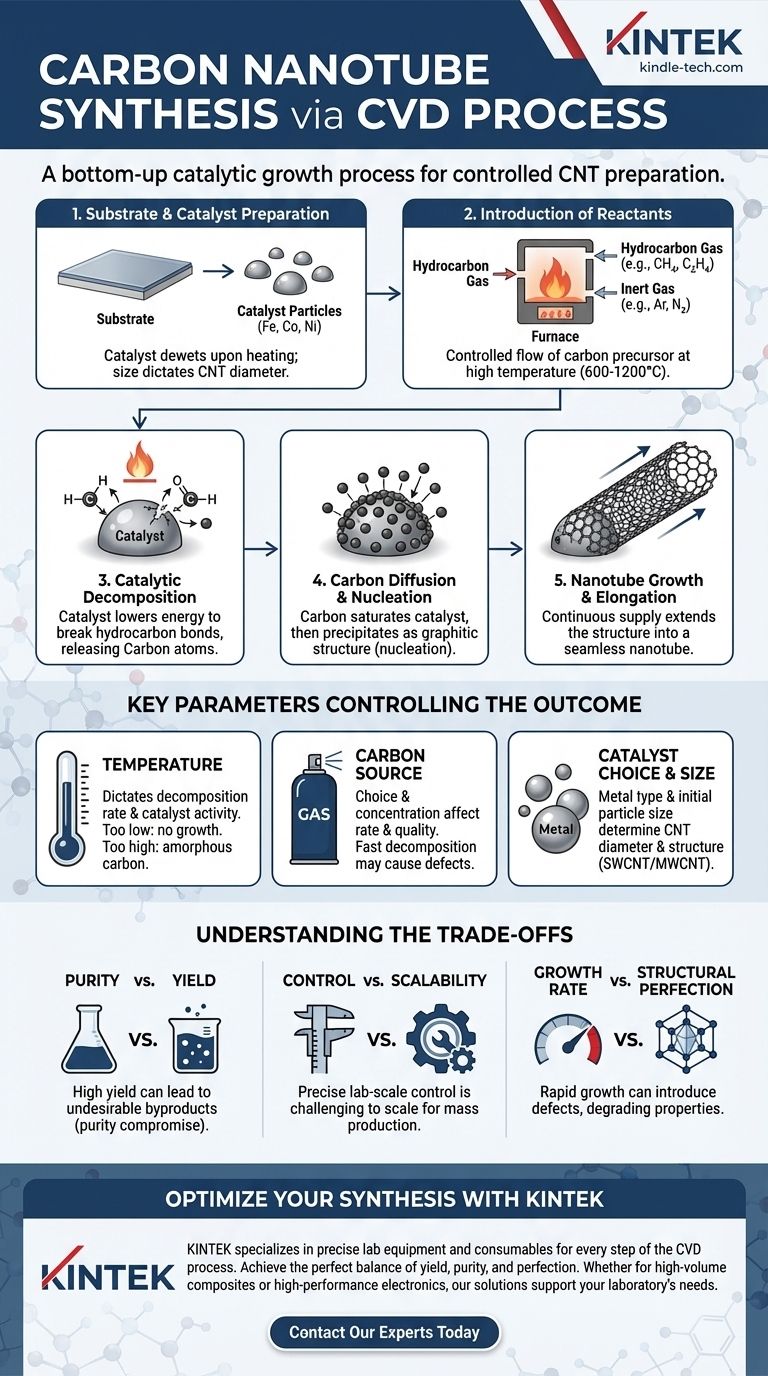 ما هو التخليق والآلية المتضمنة في تحضير أنابيب الكربون النانوية باستخدام عملية الترسيب الكيميائي للبخار (CVD)؟ تحكم في النمو ليتناسب مع تطبيقك دليل مرئي