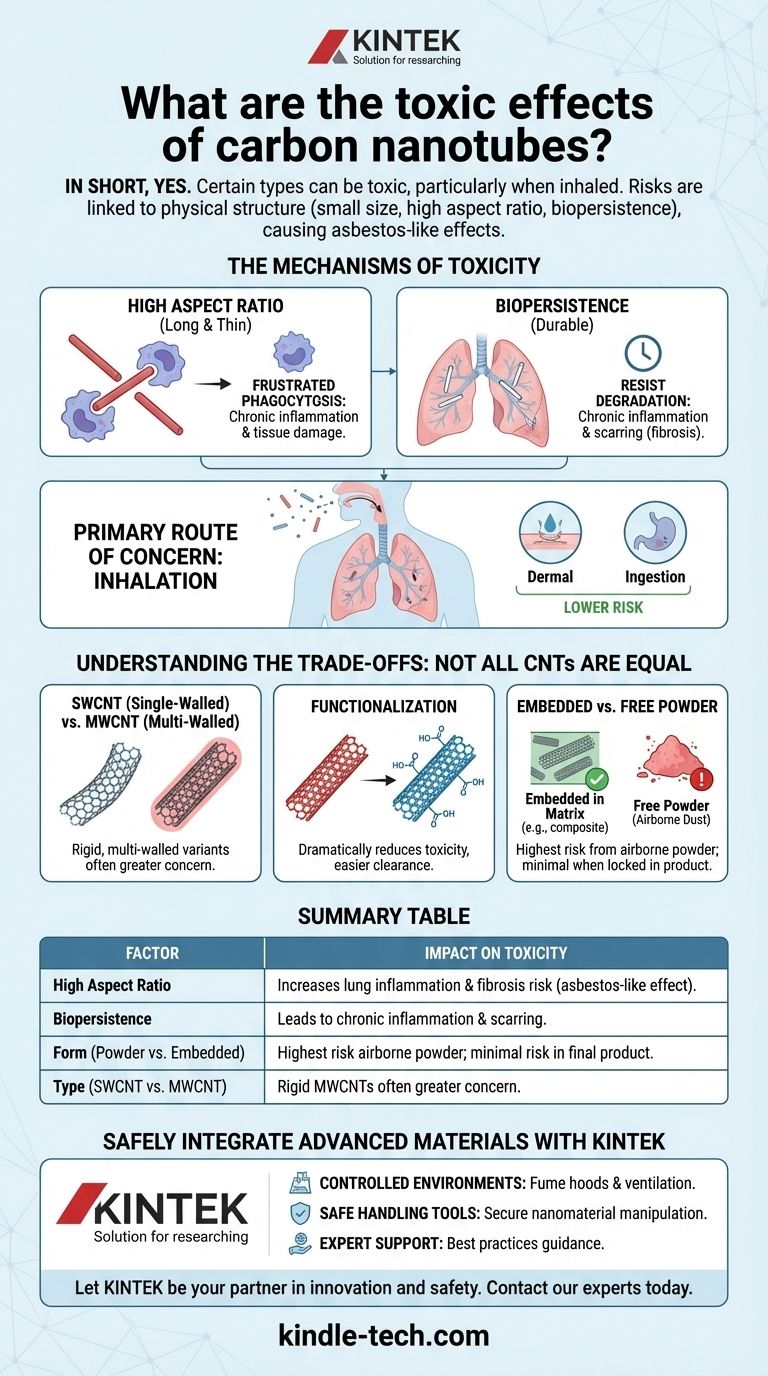 Was sind die toxischen Wirkungen von Kohlenstoffnanoröhren? Risiken beim Einatmen verstehen Visuelle Anleitung
