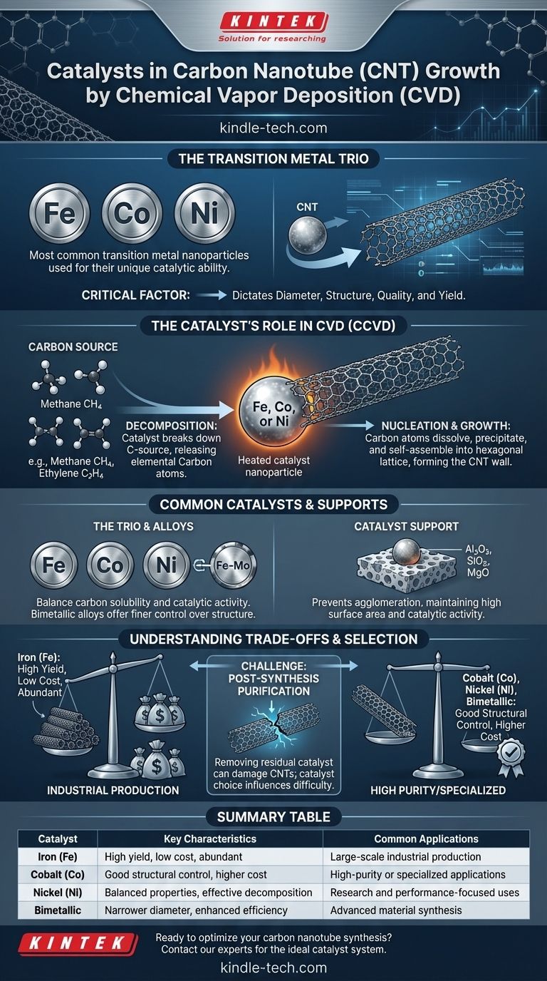 What catalyst is used in growing carbon nanotubes by chemical vapor deposition? Key Metals for Controlled Synthesis Visual Guide