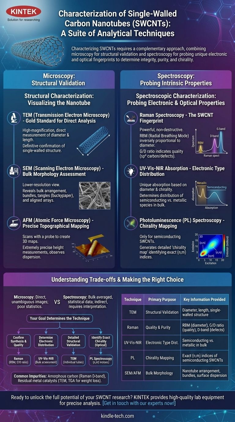 ما هي خصائص أنابيب الكربون النانوية أحادية الجدار؟ التقنيات الأساسية لتحليل أنابيب الكربون النانوية أحادية الجدار (SWCNT) دليل مرئي
