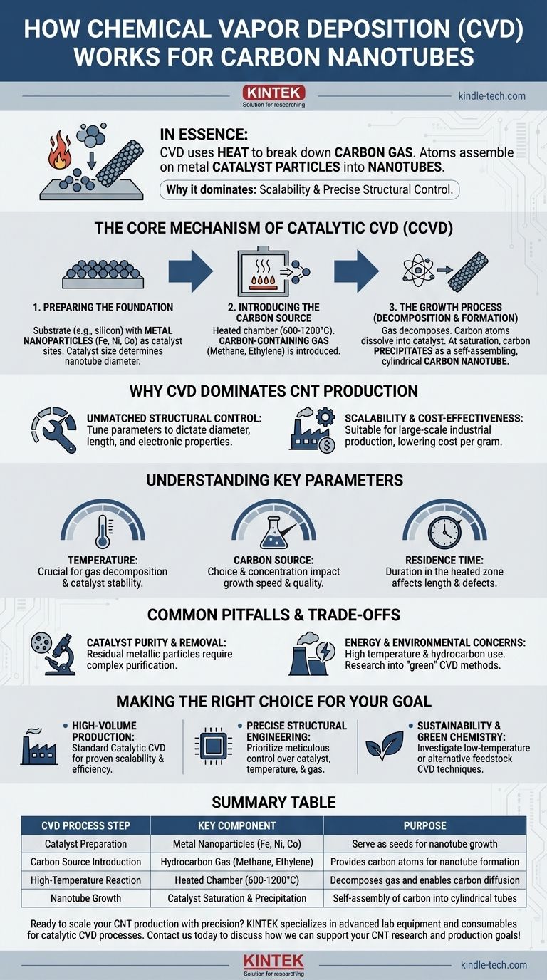 화학 기상 증착(CVD)은 탄소 나노튜브를 어떻게 생성하는가? 확장 가능하고 제어된 합성 설명 시각적 가이드