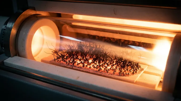 ما هو المحفز لنمو الأنابيب النانوية الكربونية؟ من الجسيمات النانوية المعدنية إلى طلب السوق