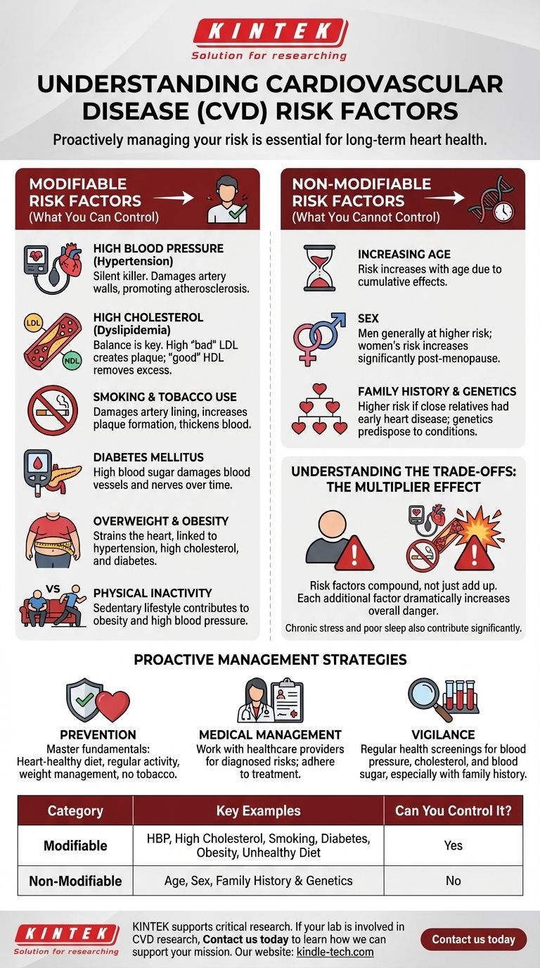 ما هي عوامل الخطر المرتبطة بأمراض القلب والأوعية الدموية؟ تحكم في صحة قلبك اليوم دليل مرئي