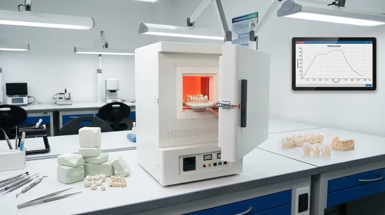 Was ist Sintern in der Zahnmedizin? Verwandeln Sie Zirkonoxid in hochfeste zahnmedizinische Restaurationen