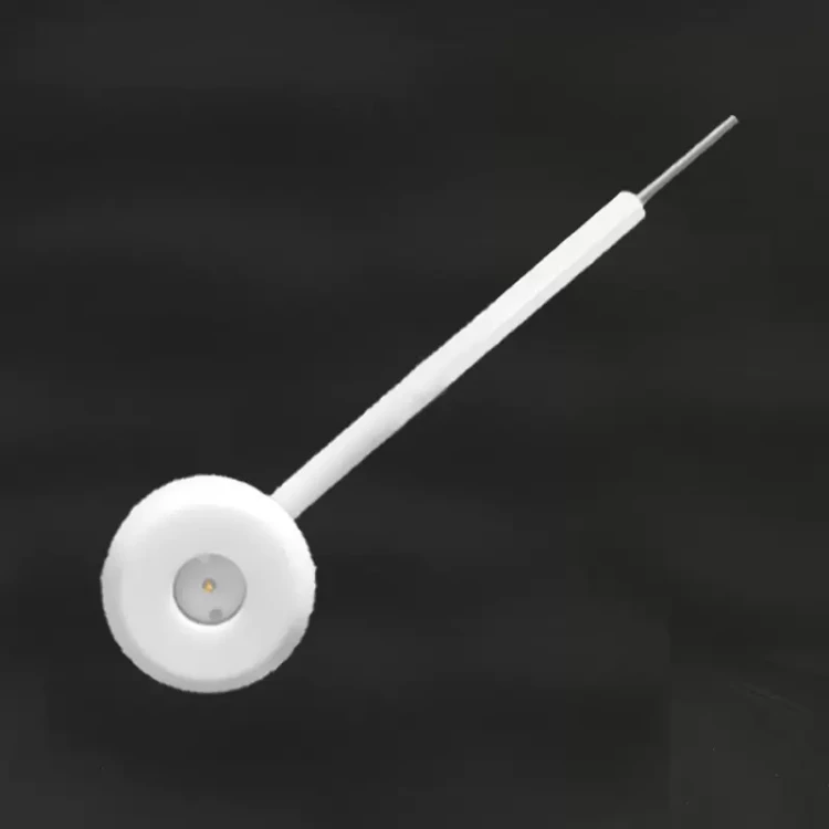 dettaglio del corpo di supporto del campione 1