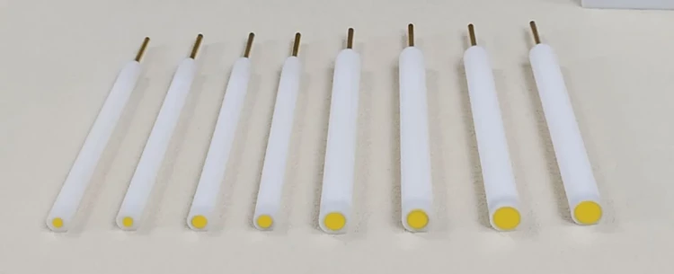 gold disc electrode detail 1