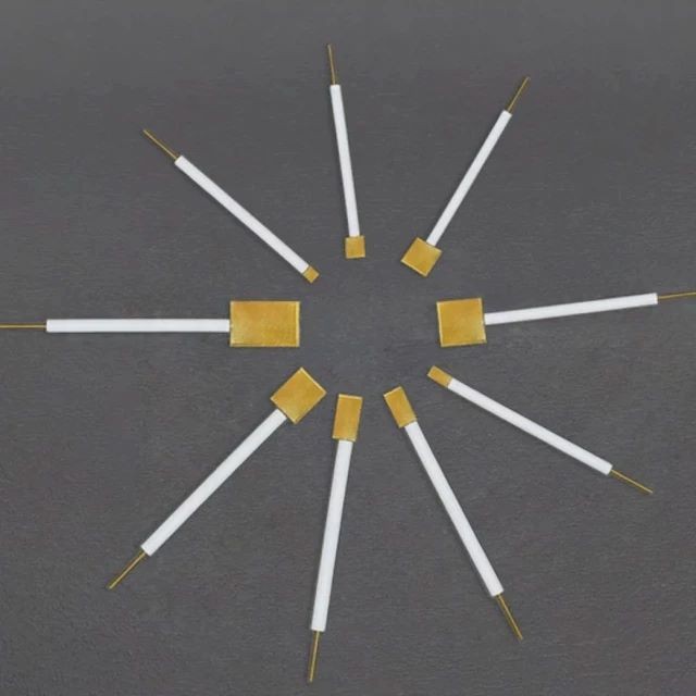 Électrode en feuille d'or