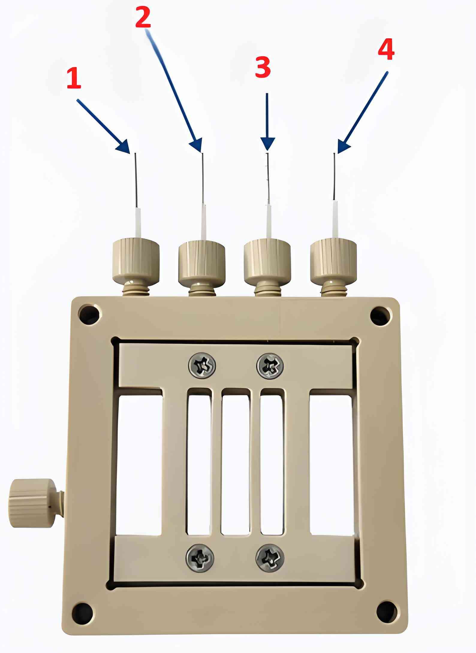 1. Électrode auxiliaire 2. Électrode de référence 3. Électrode d'induction 4. Électrode de travail
